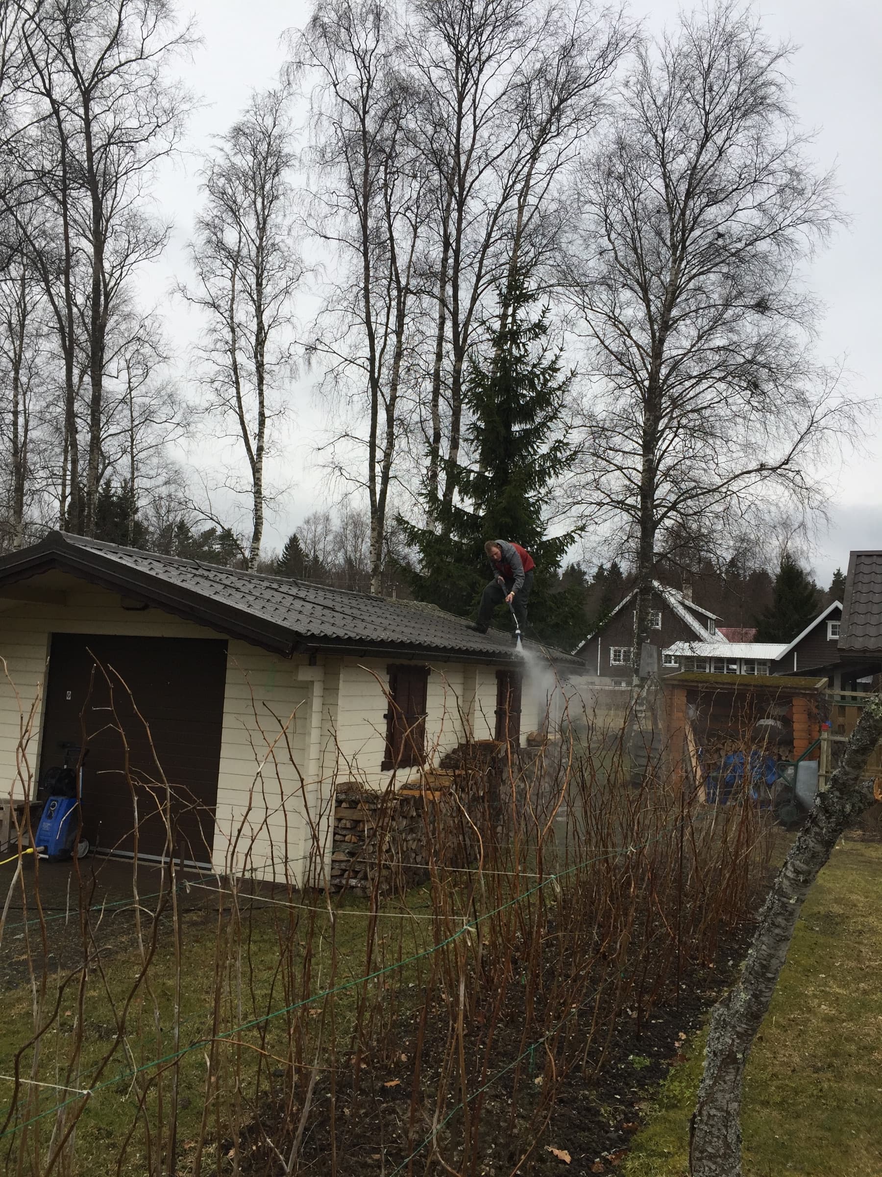 Katusepesu ja samblatõrje, Harjumaa – Harjumaa – tehtud töö foto 2