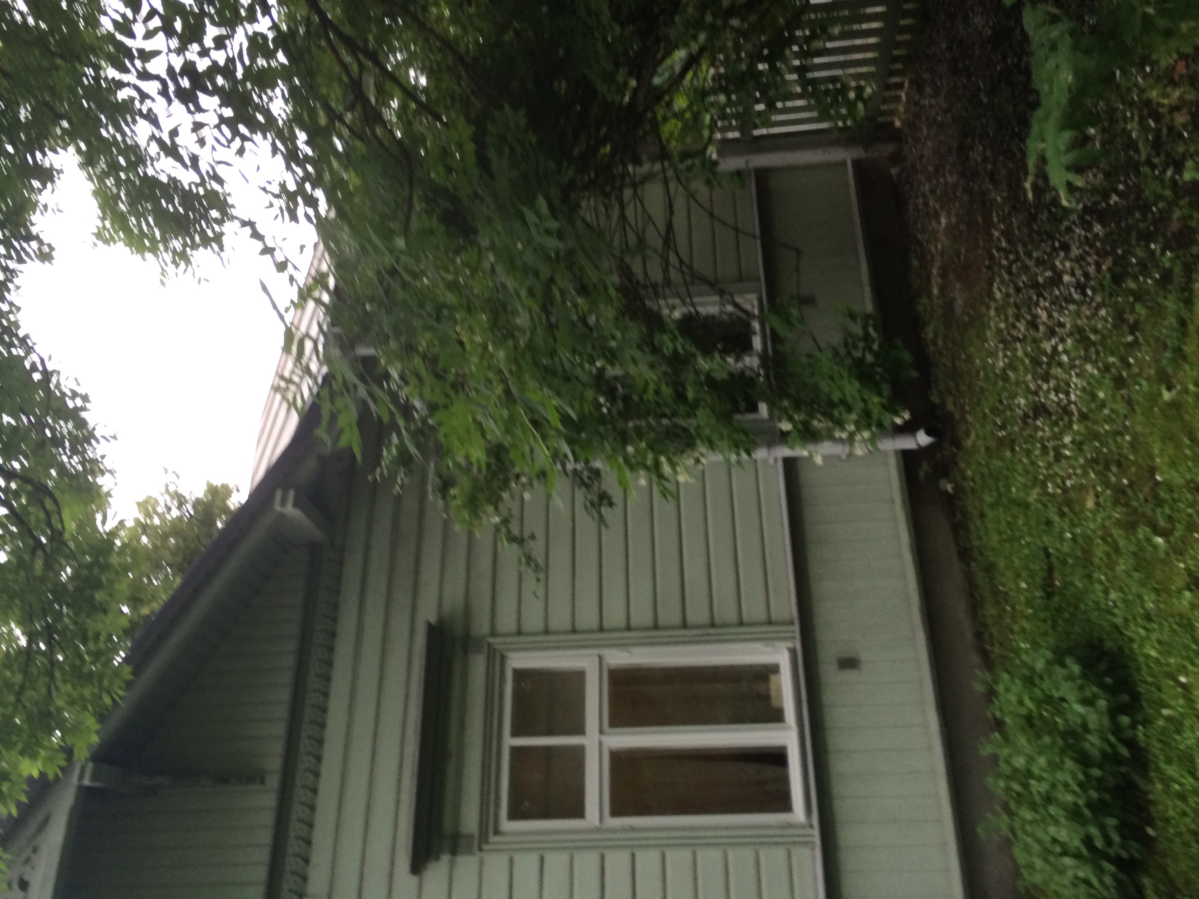 Fassaadi värvimine, Kadriorg – Tallinn, Kadriorg – tehtud töö foto 5