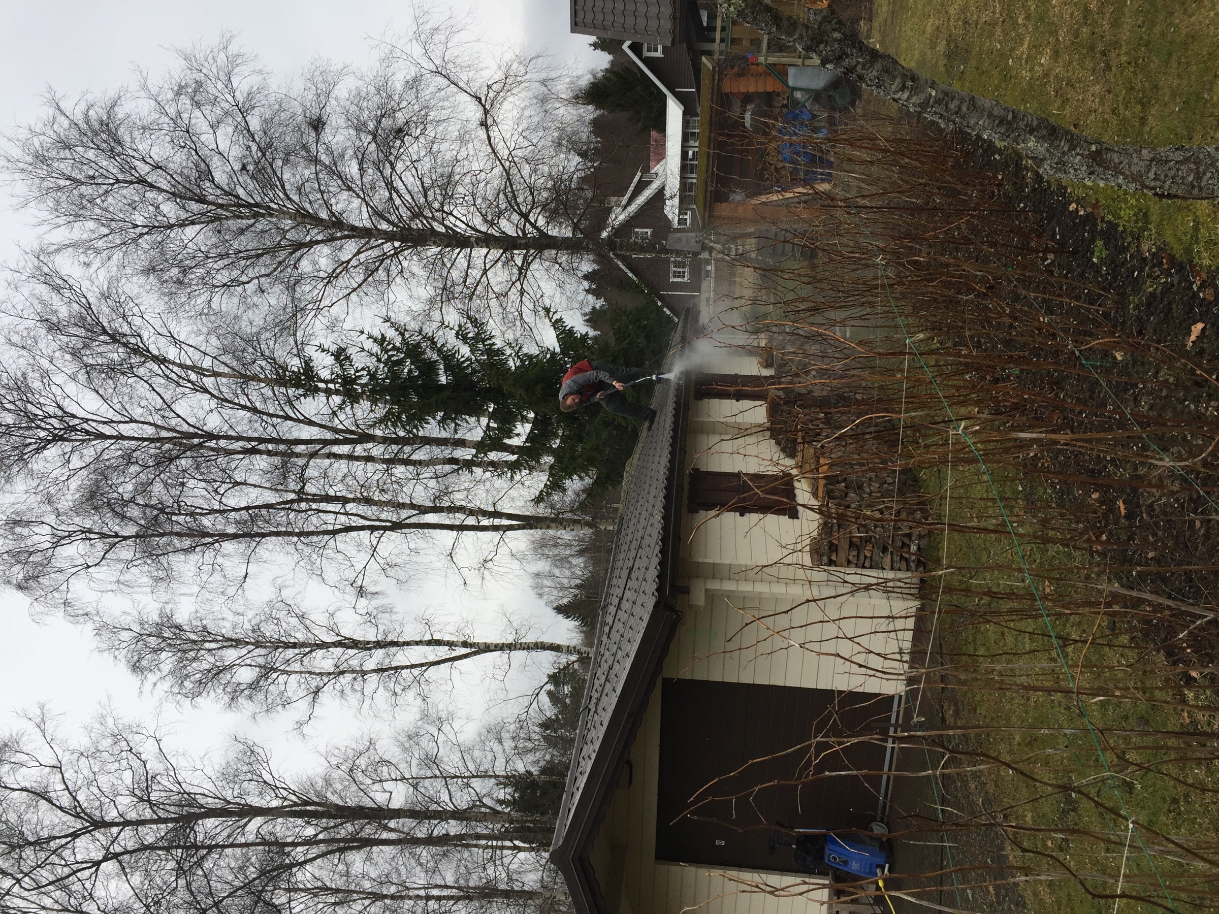 Katusepesu ja samblatõrje, Harjumaa – Harjumaa – tehtud töö foto 2