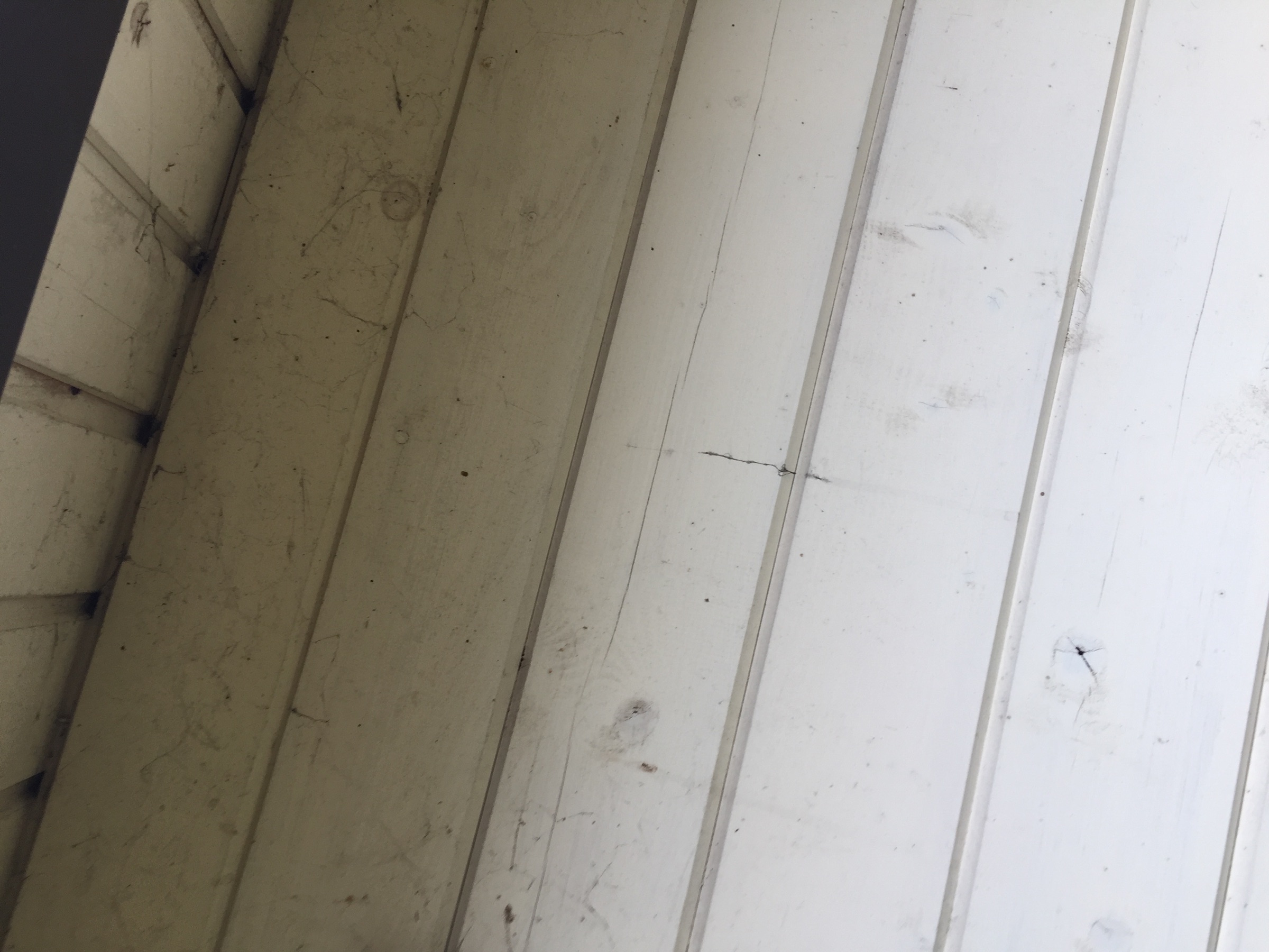 Katusepesu ja samblatõrje, Harjumaa – Harjumaa – tehtud töö foto 8