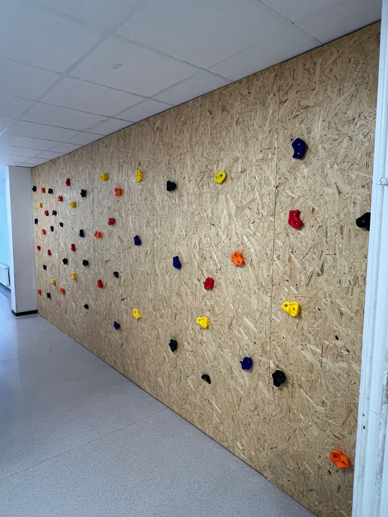 Ronimisseina ja istumispesade ehitus Mustamäe koolihoones