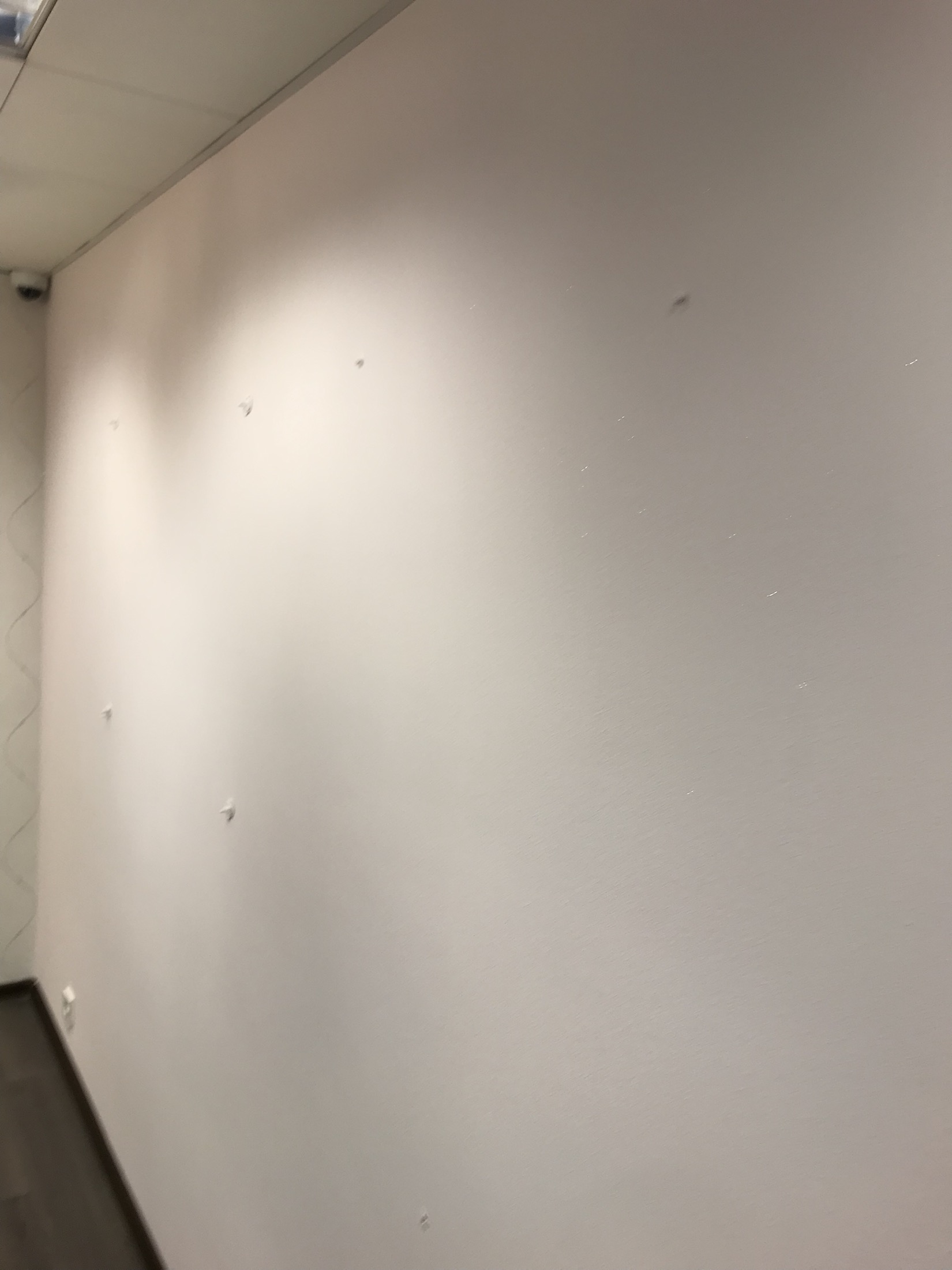 Maalritööd ja tapeetimine, Kesklinn – Tallinn, Kesklinn – tehtud töö foto 20